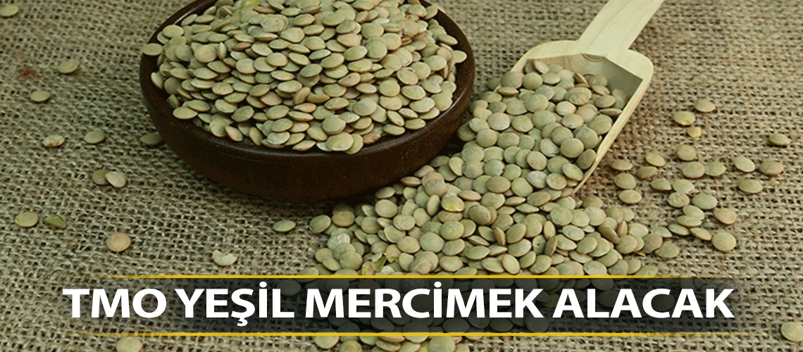 TMO yeşil mercimek alacak