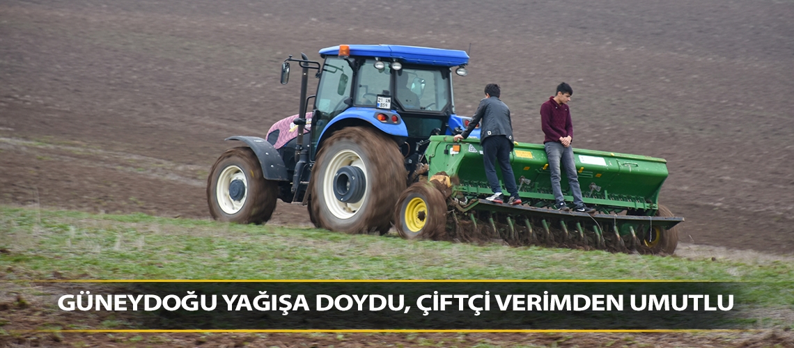 Güneydoğu yağışa doydu, çiftçi verimden umutlu