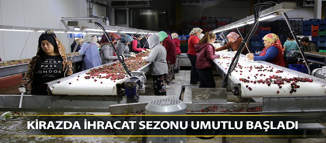 Kirazda ihracat sezonu umutlu başladı