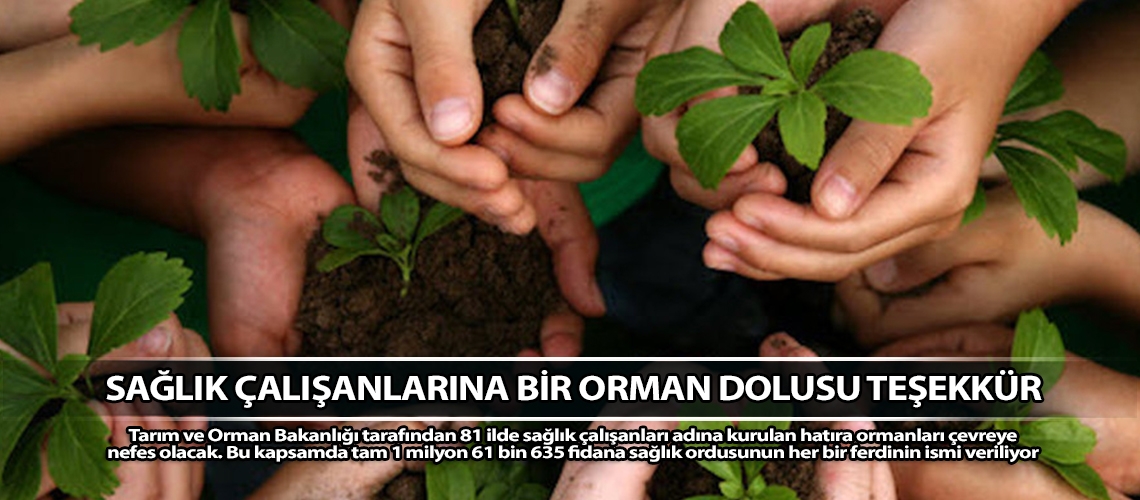 Sağlık çalışanlarına bir orman dolusu teşekkür