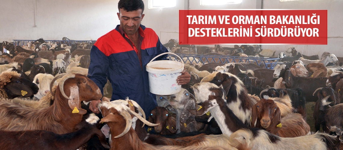 Tarım ve Orman Bakanlığı desteklerini sürdürüyor