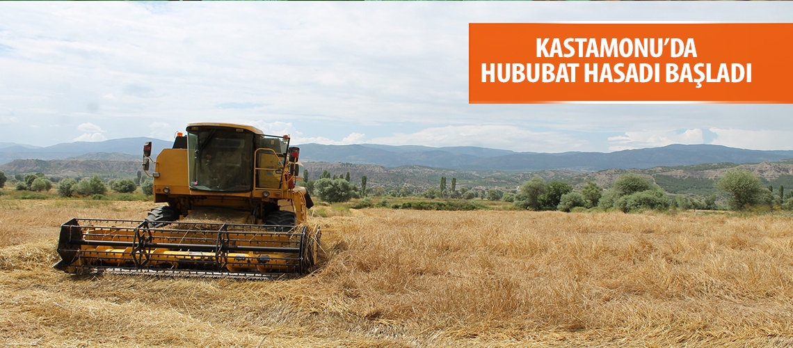 Kastamonu’da hububat hasadı başladı