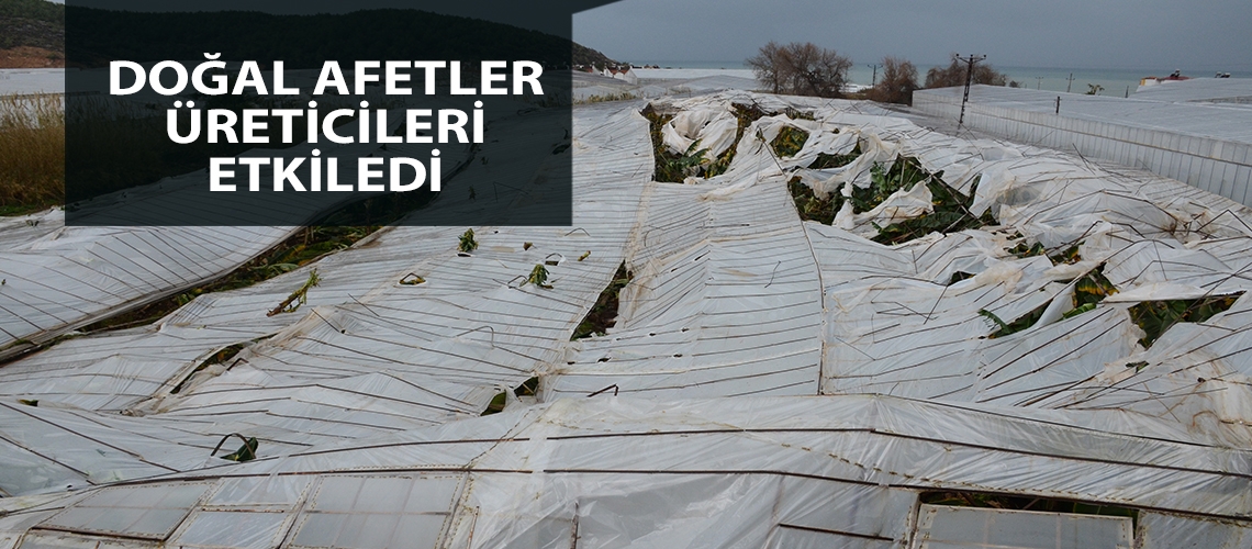Doğal afetler üreticileri etkiledi