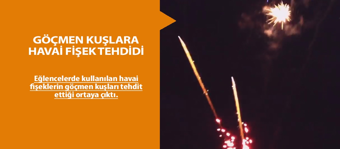 Göçmen kuşlara havai fişek tehdidi