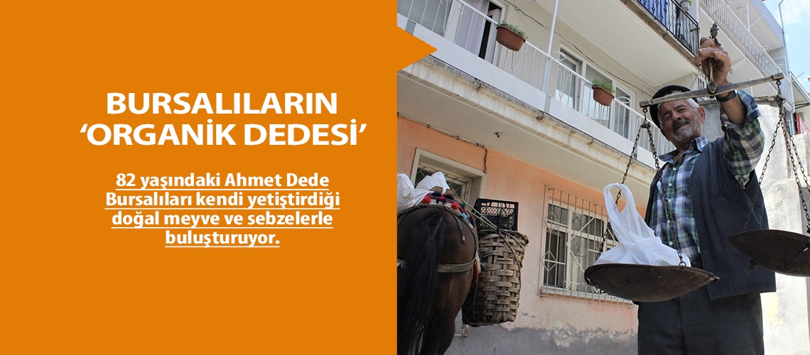 Bursalıların ‘organik dedesi’