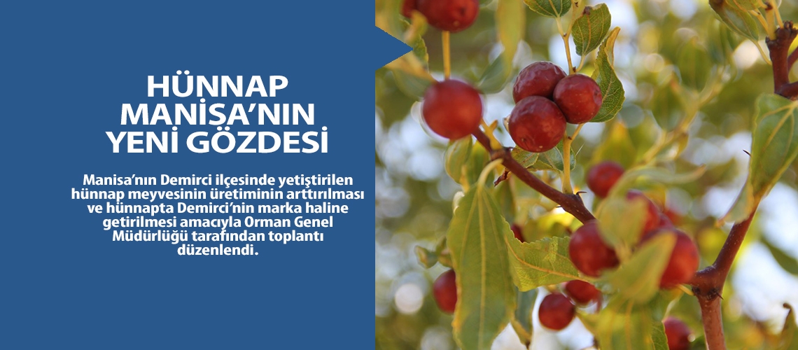 Hünnap Manisa’nın yeni gözdesi