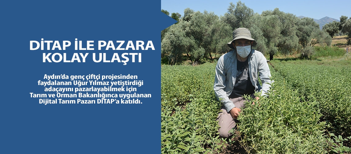 DİTAP ile pazara kolay ulaştı