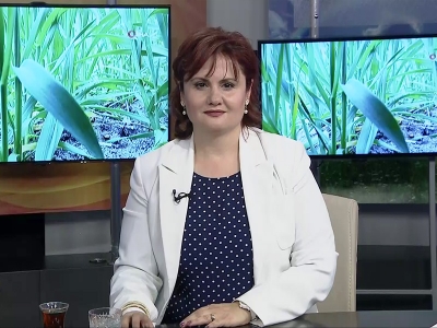 Tarım Gündem 09.04.2019