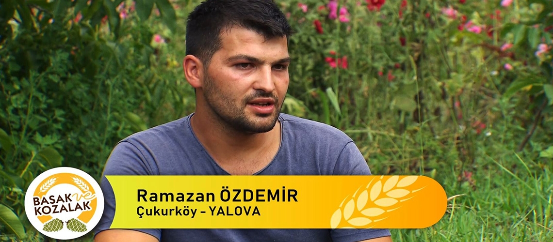 Başak ve Kozalak - Ramazan ÖZDEMİR (Çukurköy-YALOVA)