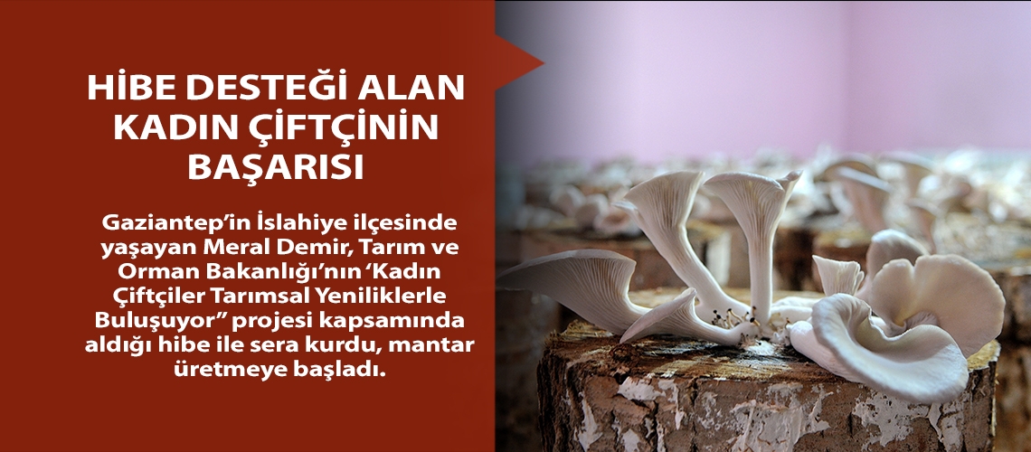 Hibe desteği alan kadın çiftçinin başarısı