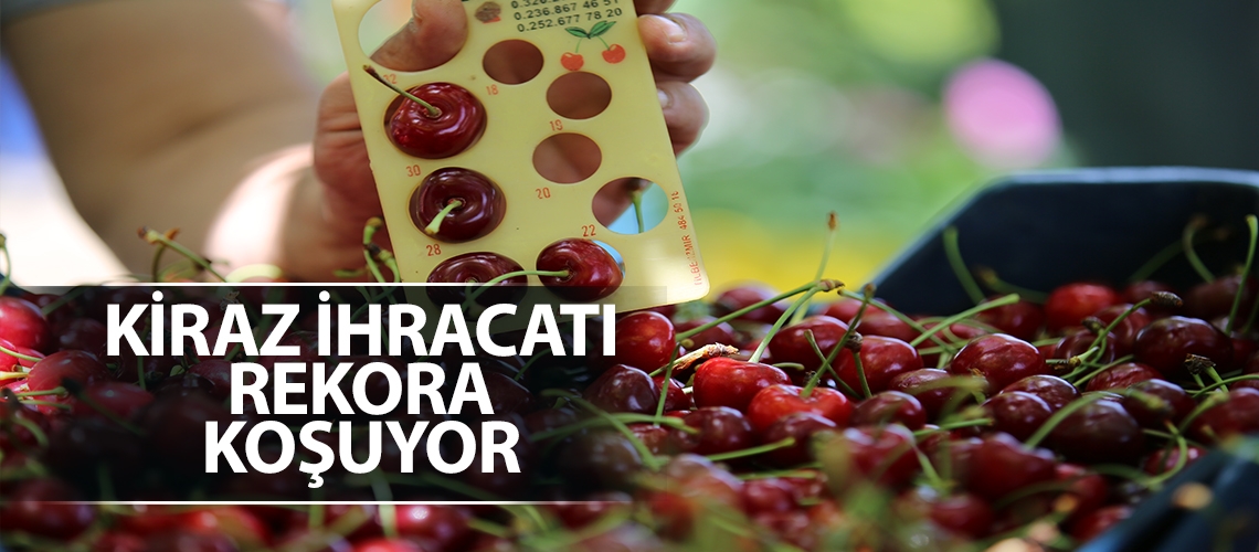 Kiraz ihracatı rekora koşuyor