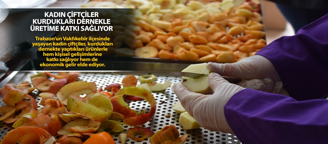 Kadın çiftçiler kurdukları dernekle üretime katkı sağlıyor