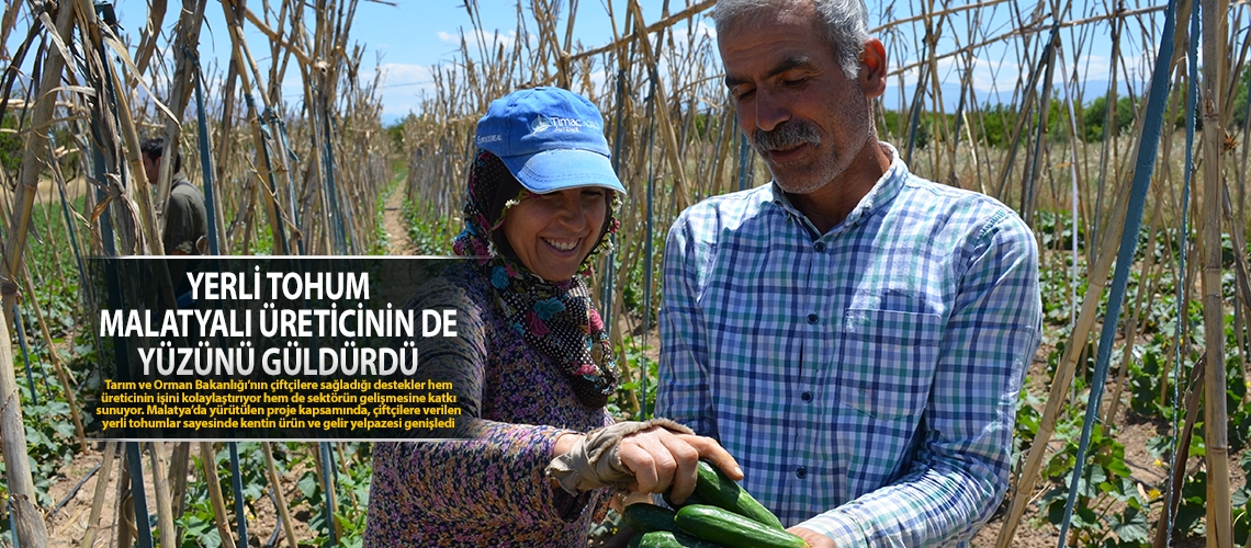 Yerli tohum Malatyalı üreticinin de yüzünü güldürdü
