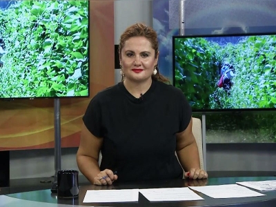 Tarım Gündem 11.08.2021