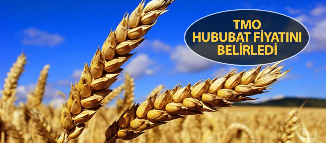 TMO hububat fiyatını belirledi