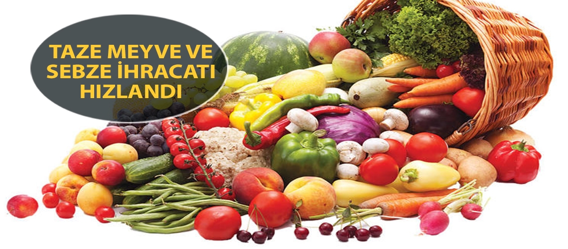 Taze meyve ve sebze ihracatı hızlandı