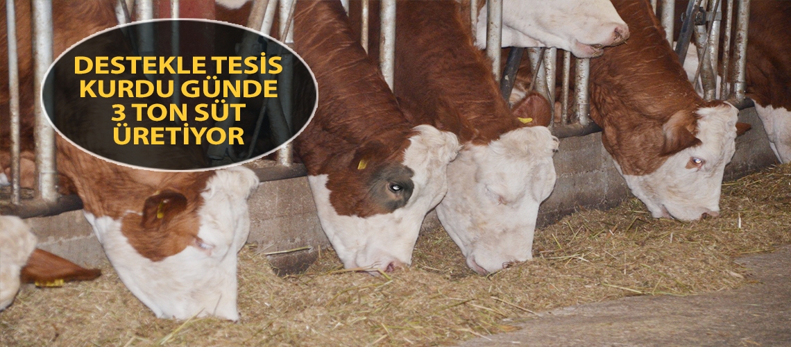 Destekle tesis kurdu günde 3 ton süt üretiyor