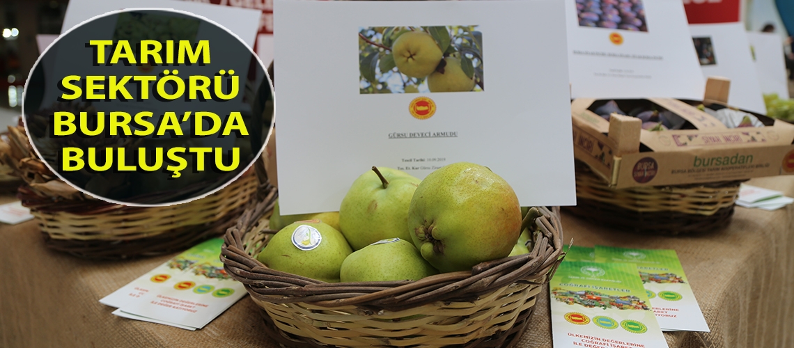 Tarım sektörü Bursa’da buluştu