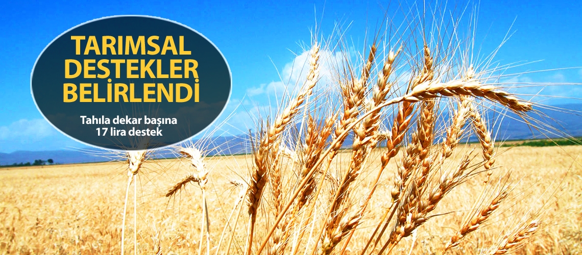 Tahıla dekar başına 17 lira destek