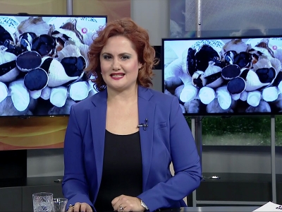 Tarım Gündem 13.11.2018