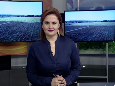 Tarım Gündem 15.03.2019