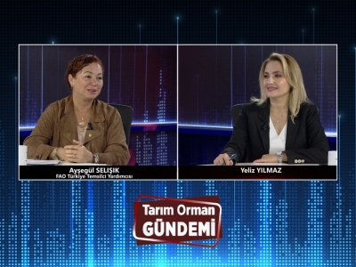 Tarım Orman Gündemi 16.10.2026