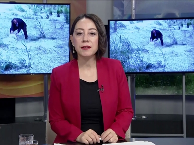 Tarım Gündem 17.12.2018