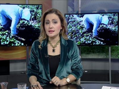 Tarım Gündem 19.11.2018