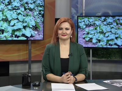 Tarım Gündem 20.05.2022