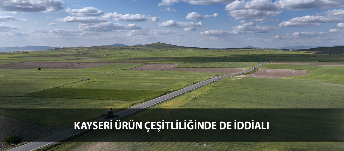 Kayseri ürün çeşitliliğinde de iddialı