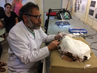 Hayvan göçlerine ışık tutacak