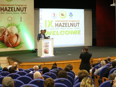 Yeni sezon fındık alımı başladı