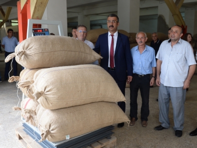 Üretim yapılan bölgelerde fındık fiyatı 9,50 lira