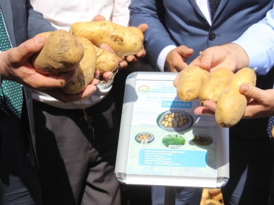 ‘Tarımsal teknoloji ve tohumu üretip satacağız’