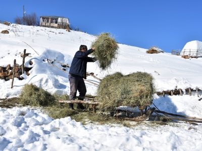Besicilerin zorlu kış mesaisi