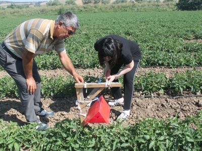 Domates üreticilerine 