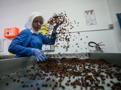 “Mutlu köy” meyvelerini verdi