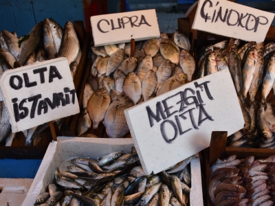 Balıkçı tezgâhları 1 Eylül’de şenlenecek