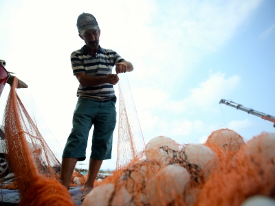Balık av sezonu palamut bolluğuyla açılacak