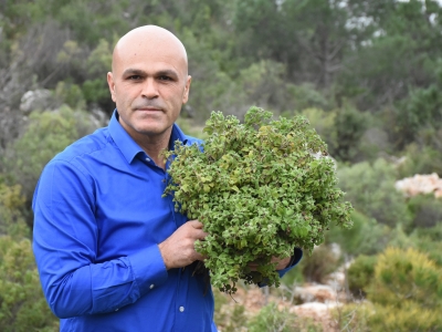 Doğadan gıdaların raf ömrünü uzatıcı bitki: Cistus