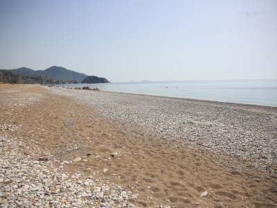 Caretta carettalar Çıralı’da mutlu