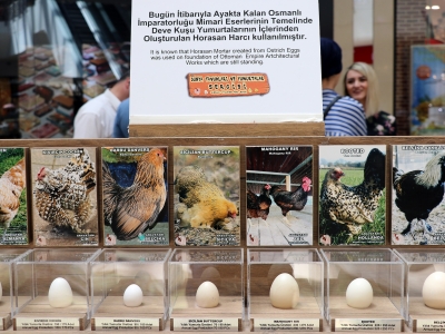 Tavuklar ve yumurtalar bir sergide buluştu