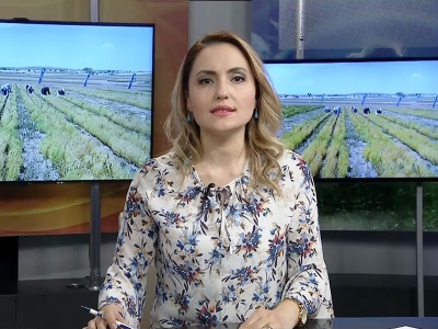Tarım Gündem 22.05.2019