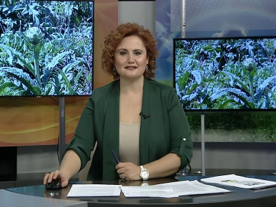 Tarım Gündem 27.05.2021