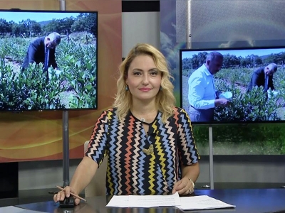 Tarım Gündem 27.07.2021