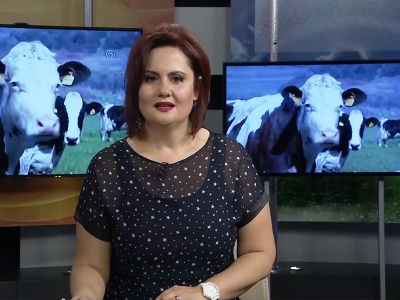 Tarım Gündem 27.05.2019