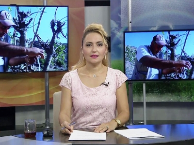 Tarım Gündem 28.07.2021