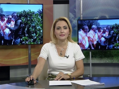 Tarım Gündem 29.07.2021