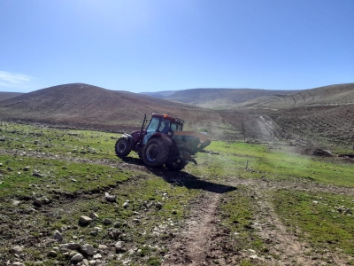 Siirt’te meralar ıslah ediliyor