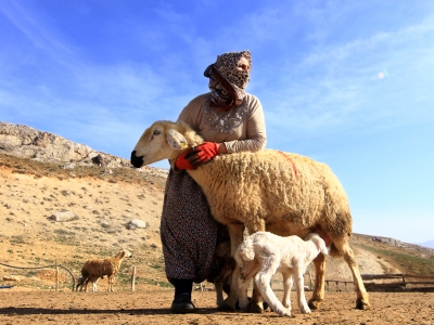 TARSİM’den önemli açıklama